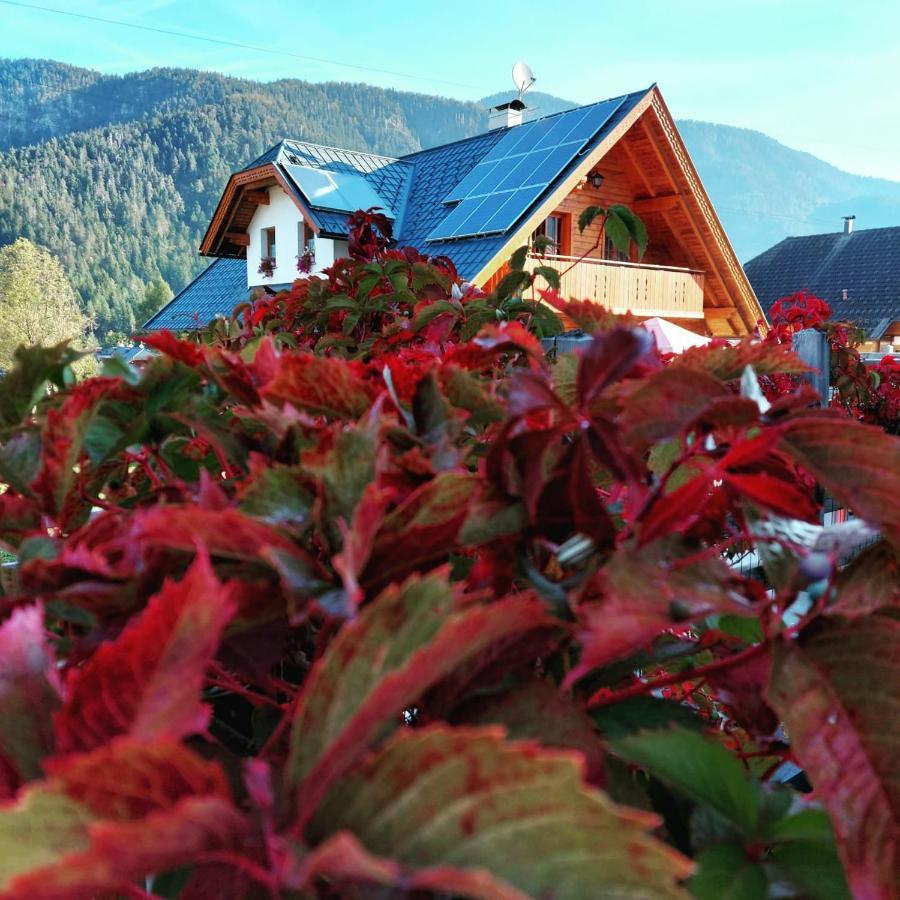 Al Sentiero Di Charly Bed and Breakfast Tarvisio Eksteriør billede