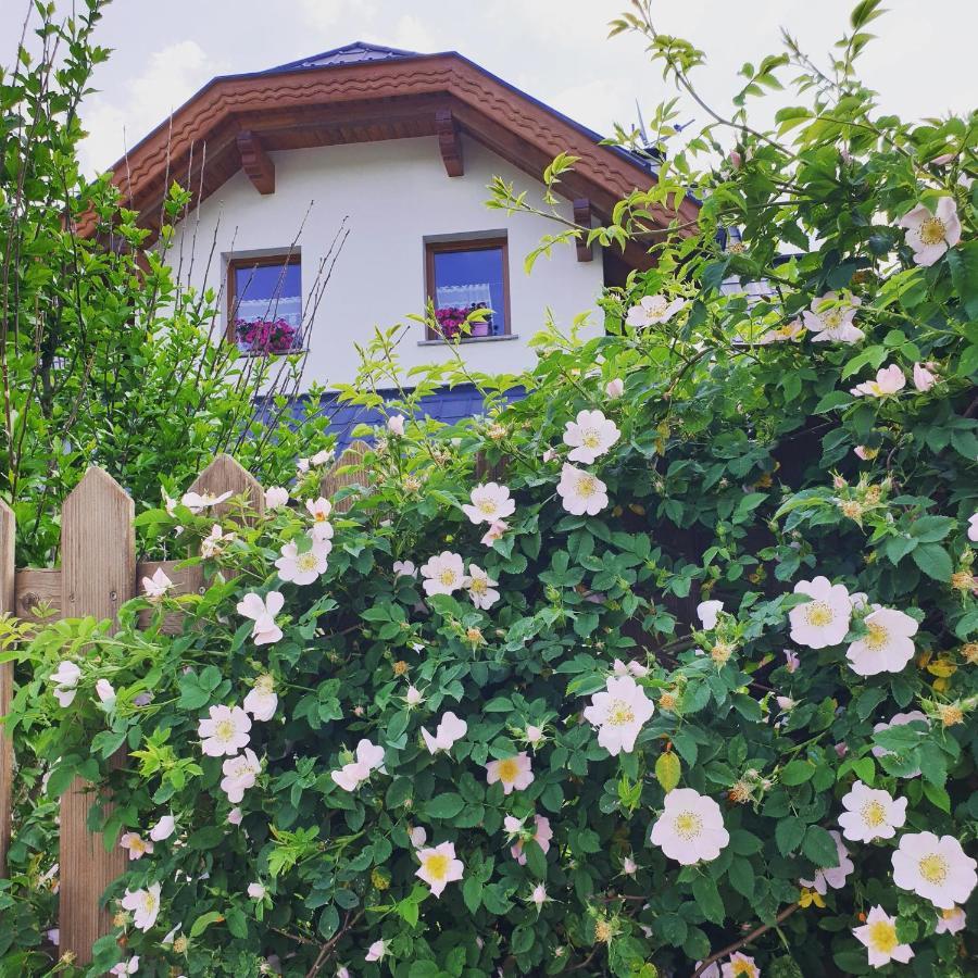 Al Sentiero Di Charly Bed and Breakfast Tarvisio Eksteriør billede