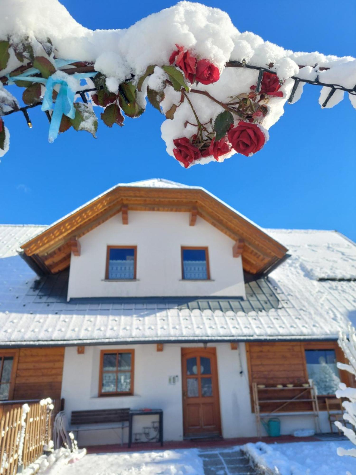 Al Sentiero Di Charly Bed and Breakfast Tarvisio Eksteriør billede